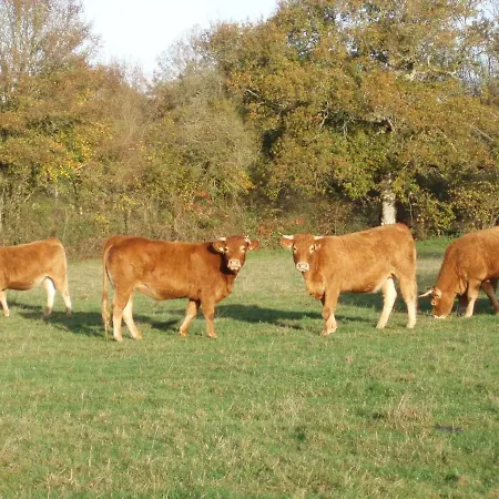 La Chatellenie Vakantiehuis *
