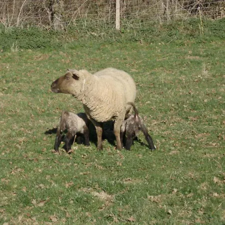 La Chatellenie Coulonges (Indre)