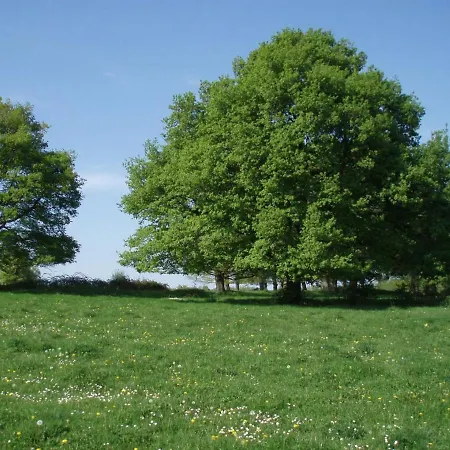 La Chatellenie *