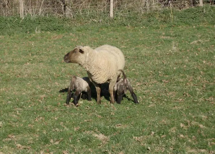 La Chatellenie Coulonges (Indre)